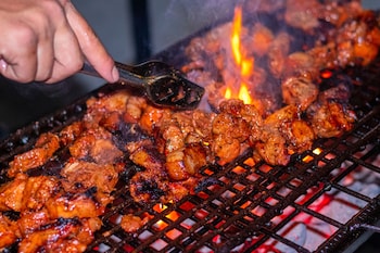 pokhara tourist home