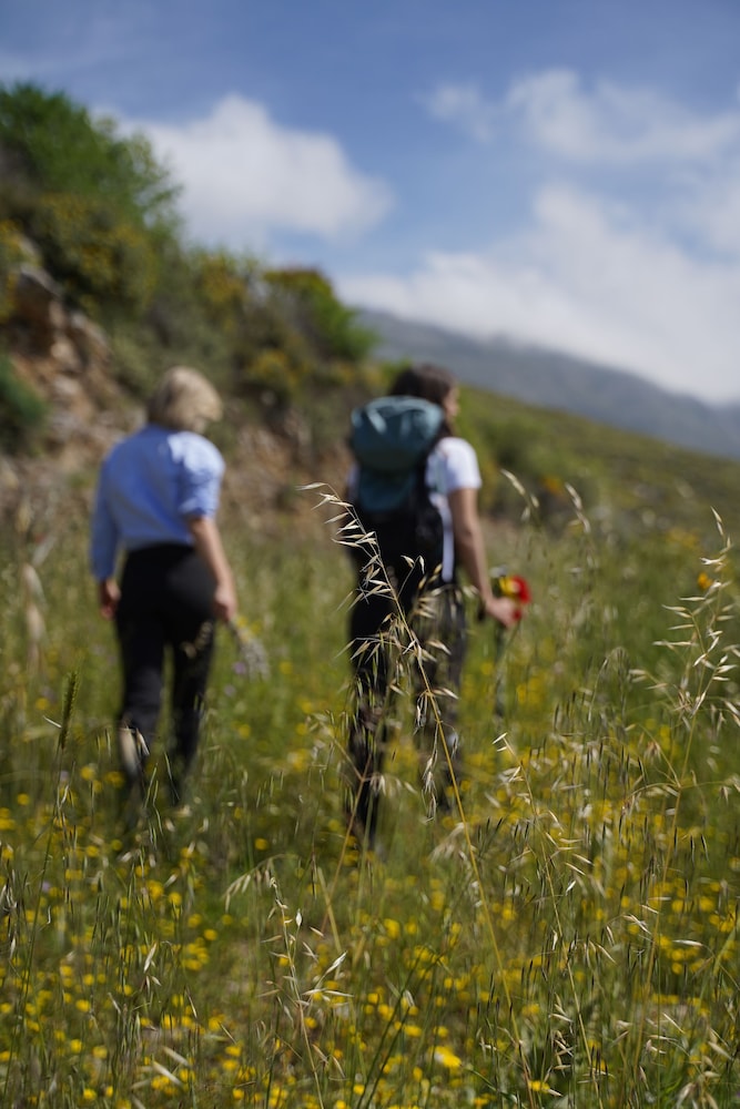stella in the village suites