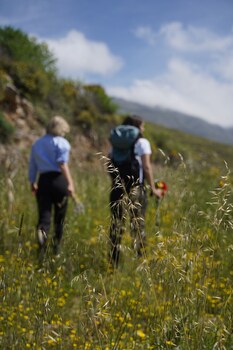 stella in the village suites