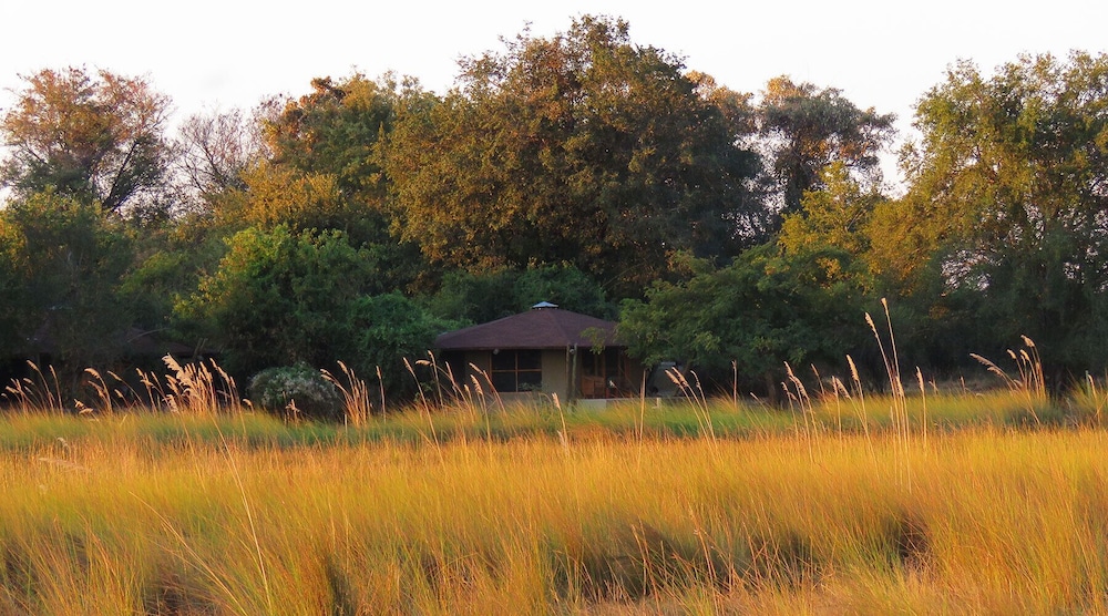 jumbo junction