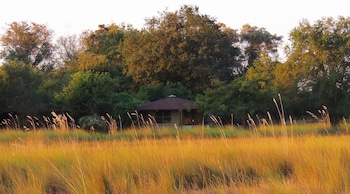 okavango delta