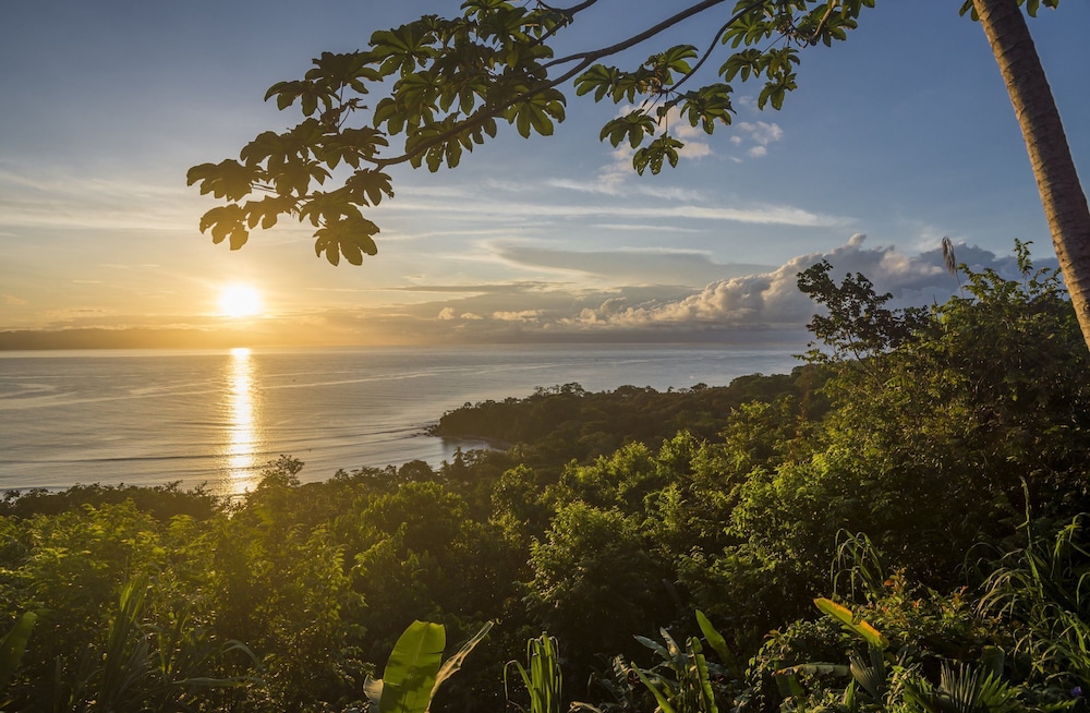 puerto jimenez