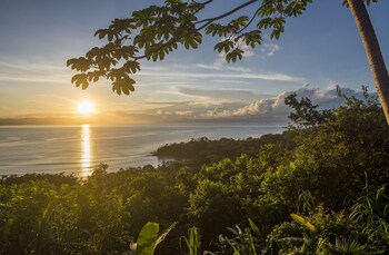 puerto jimenez