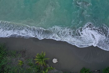 puerto jimenez