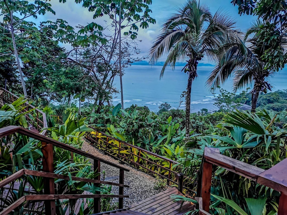 puerto jimenez