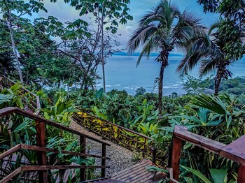 puerto jimenez