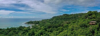 lapa rios lodge