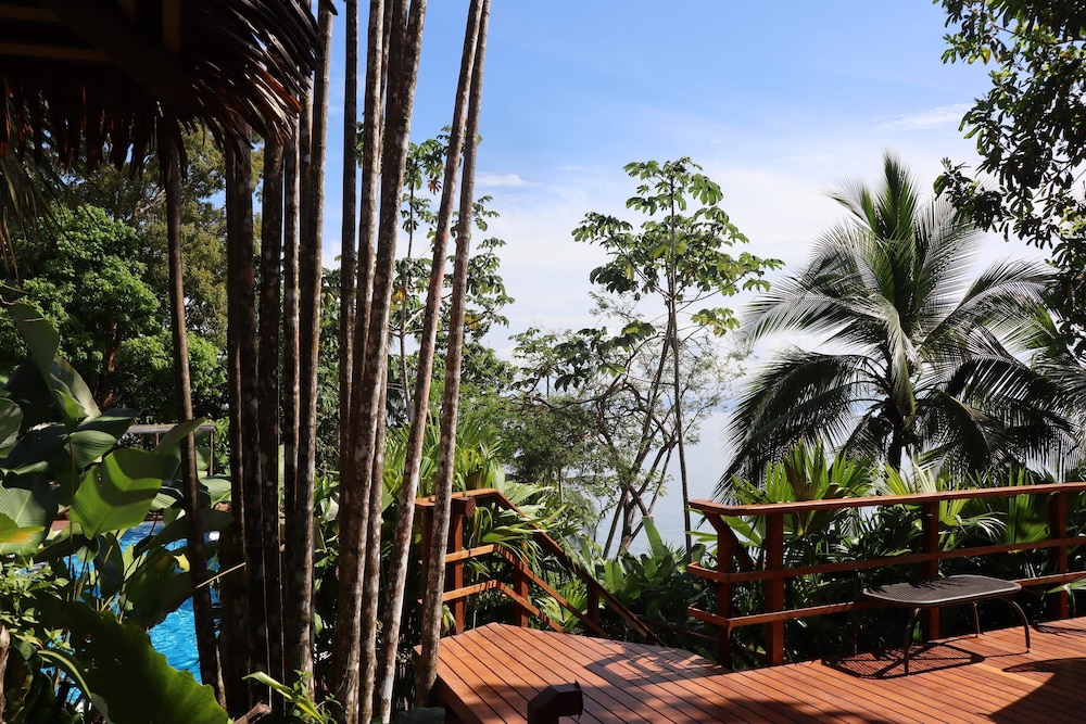 puerto jimenez
