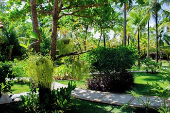 sao miguel dos milagres