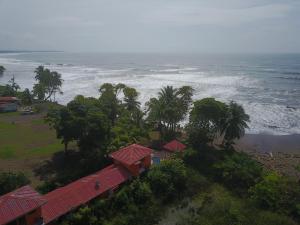 parrita