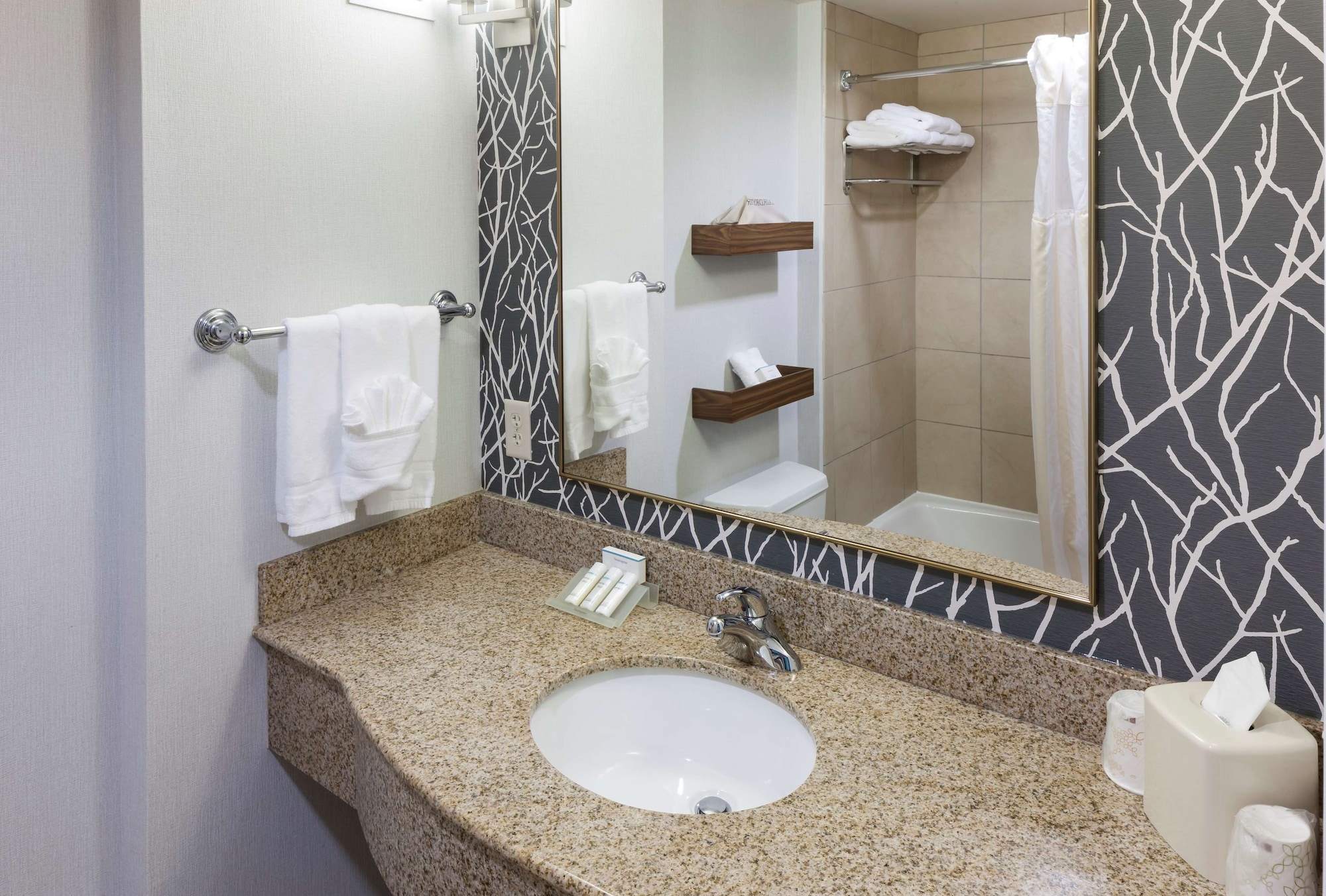 hilton garden inn austin north