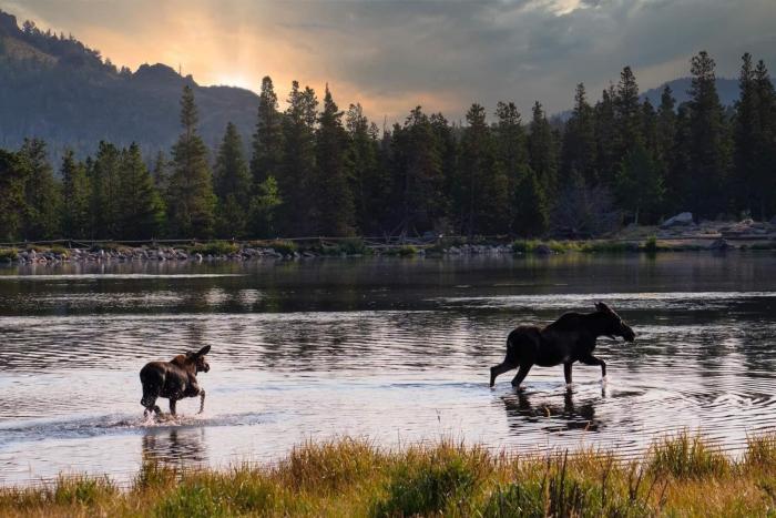 lookout mountain 27b 2 br condo