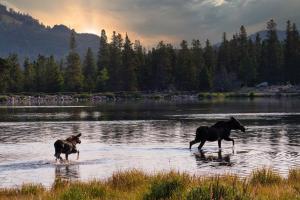 lookout mountain 27b 2 br condo