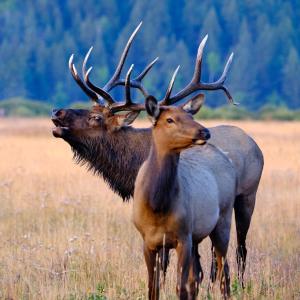 lookout mountain 27b 2 br condo