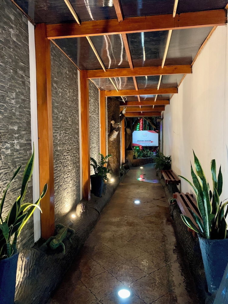 arenal hostel resort