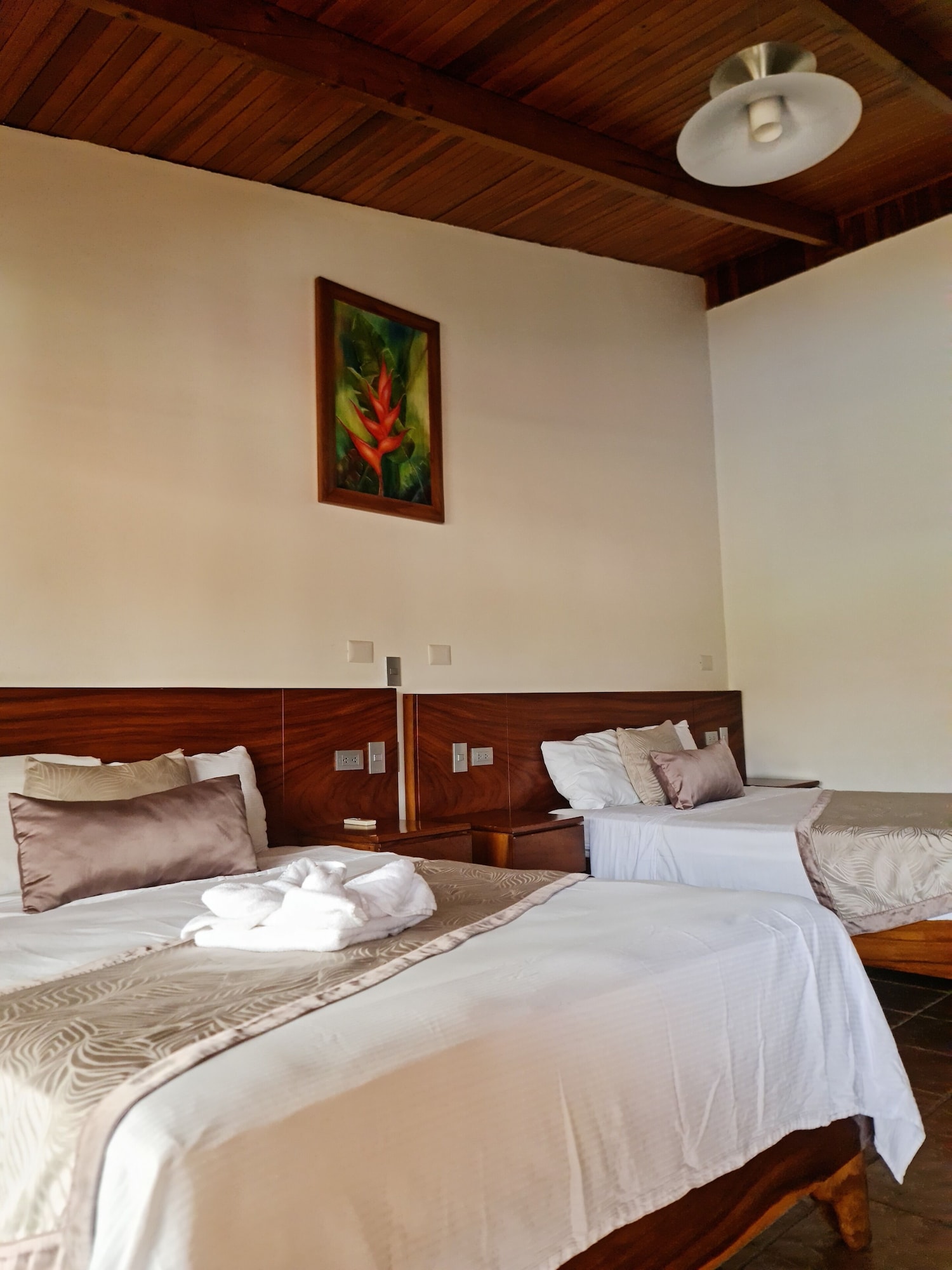 arenal hostel resort