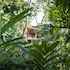 tiskita jungle lodge