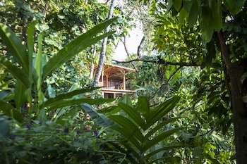tiskita jungle lodge