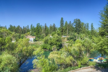 pine lodge