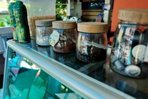 calypso patong house