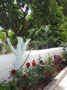 apartments margarita