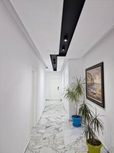 apartments margarita