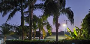 the palomar inn