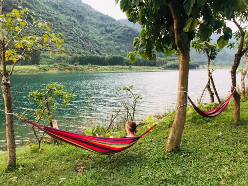 phong nha a little leaf homestay