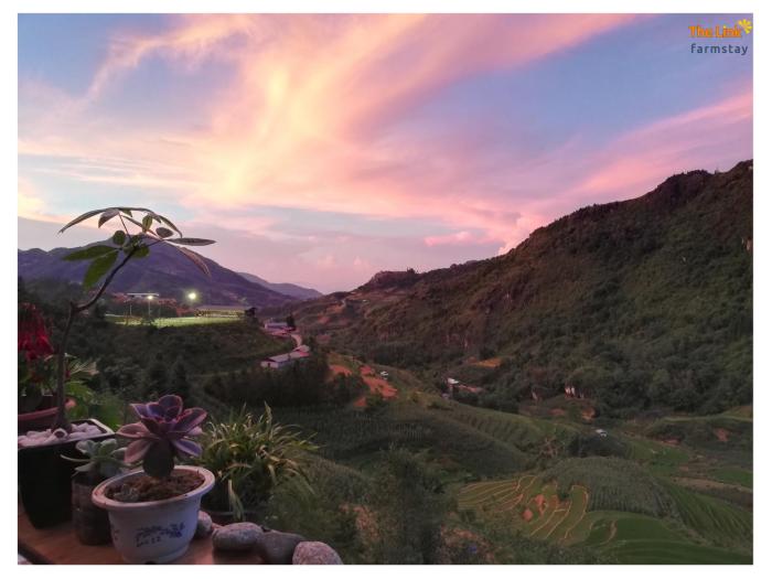 the link farmstay