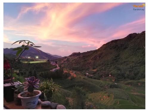 the link farmstay