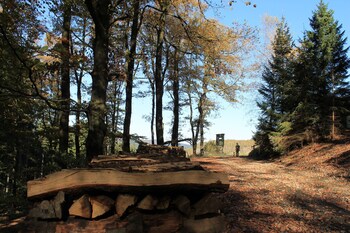 hotel landgasthof ruppel