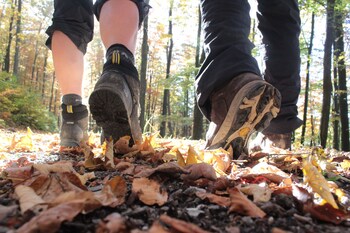 hotel landgasthof ruppel