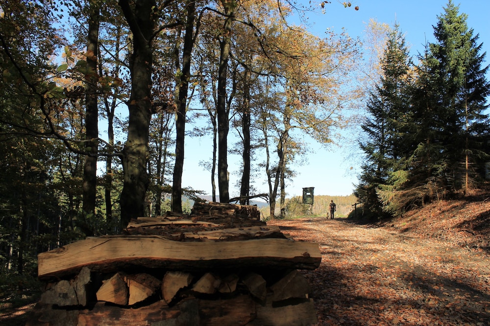 hotel landgasthof ruppel