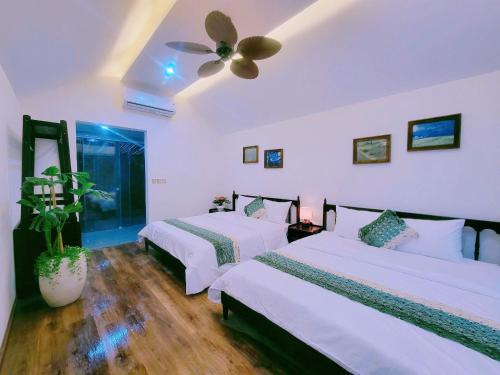 for you homestay