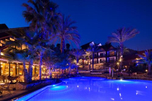 orchid eilat