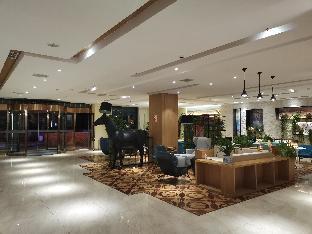 starway hotel linzhi