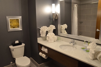 Holiday Inn Express Hotel & Suites Albany By Ihg,Georgia>>Albany,3 star