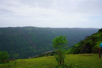 medha