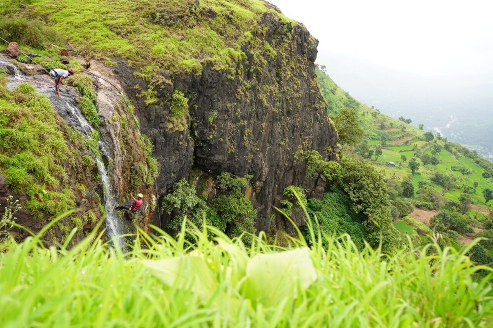 medha