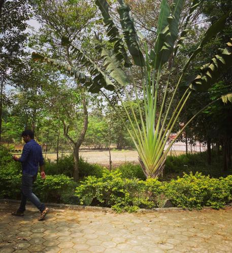sugam resort and convention centre