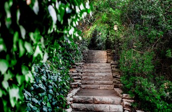 hacienda forestview