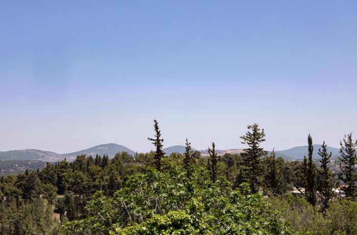 hacienda forestview
