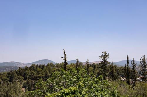 hacienda forestview