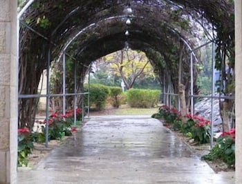 ohalo manor