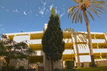 ohalo manor