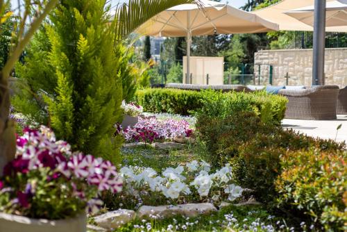 hotel yehuda