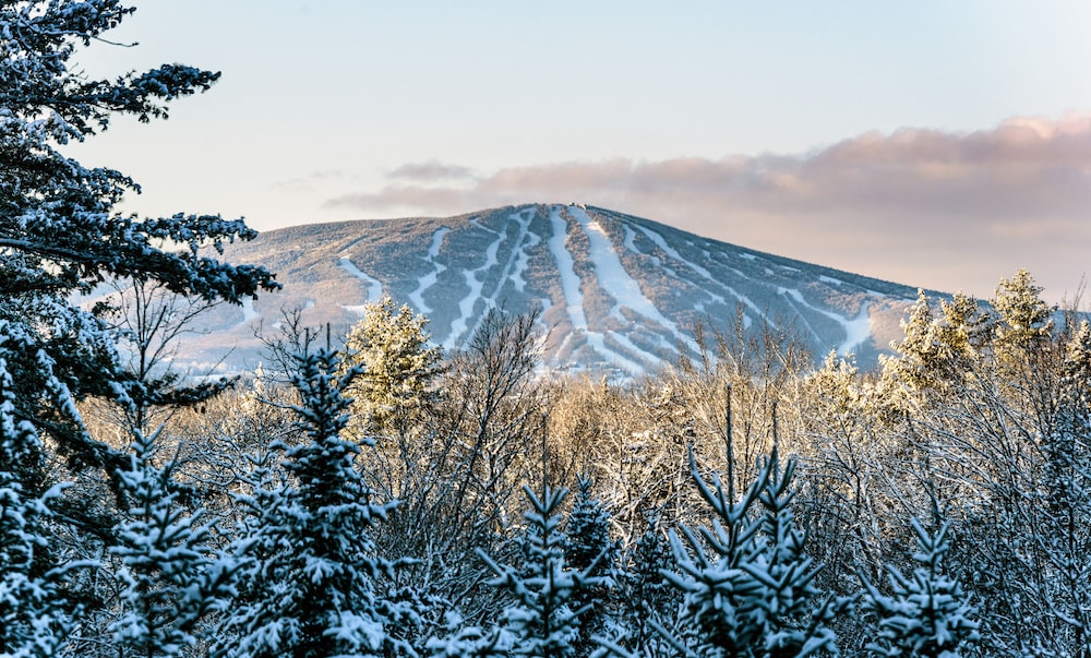 long trail house condominiums at stratton mountain