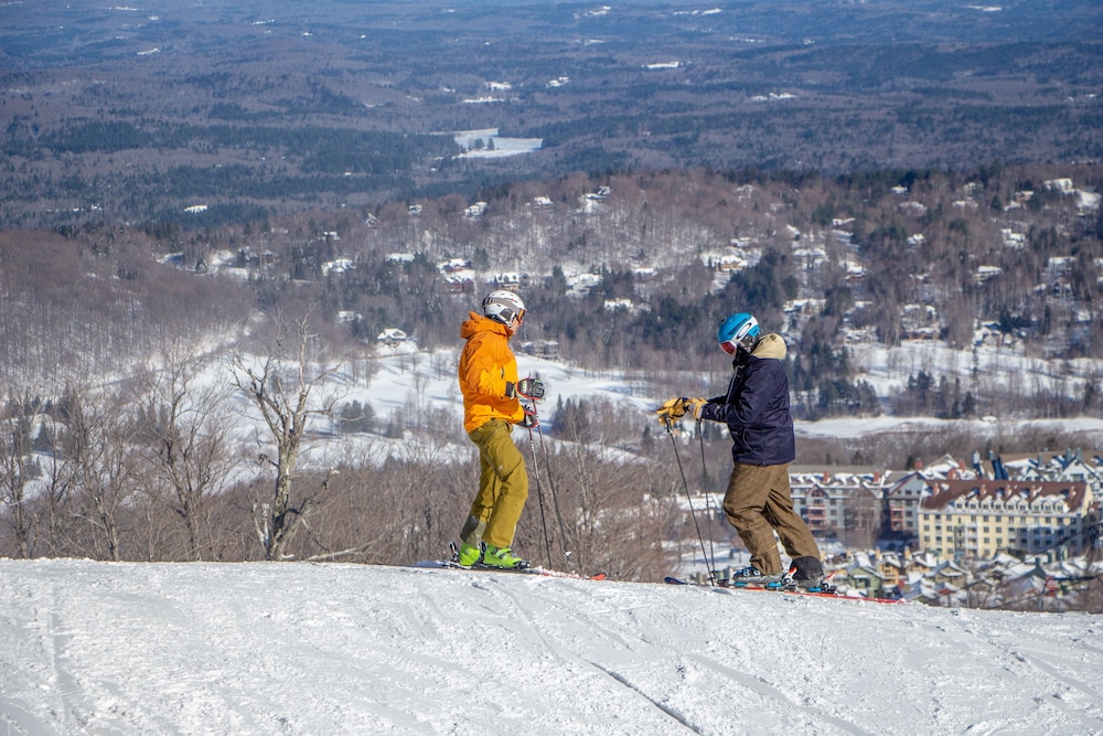 long trail house condominiums at stratton mountain