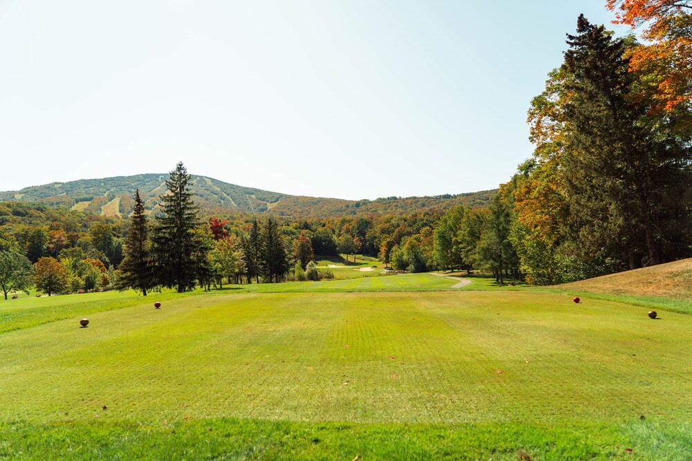 long trail house condominiums at stratton mountain