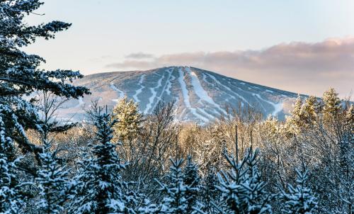 long trail house condominiums at stratton mountain